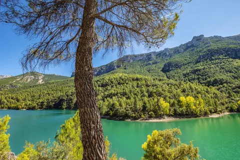 Cazorla%20anchuricas%202.jpg