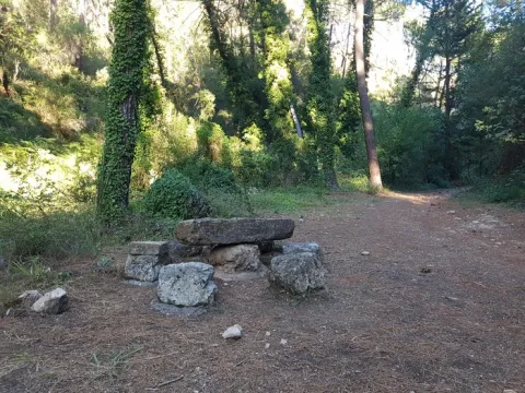 Fuente%20Almoteja.jpg