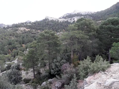 barranco.jpg