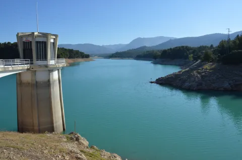 Pantano_de_la_Bolera_%28Pozo_Alc%C3%B3n%29.jpg