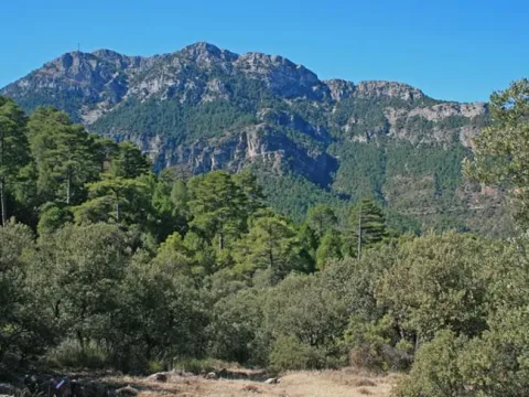 image_174764.jpeg
