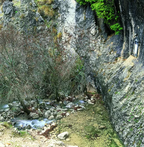 Natu219.jpg