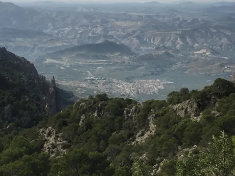 picos.jpg