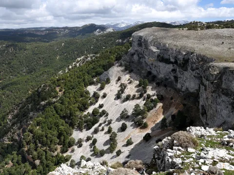 poyos-mesa.png
