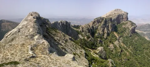 22072009_006_stitch.jpg