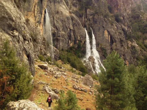 nacimiento-aguasmulas.jpg