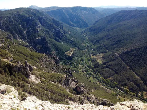 valle-del-segura.png