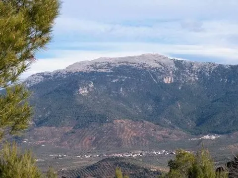 ojuelo.jpg