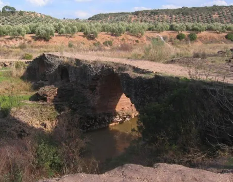 Puente-Mocho-768x600.jpg