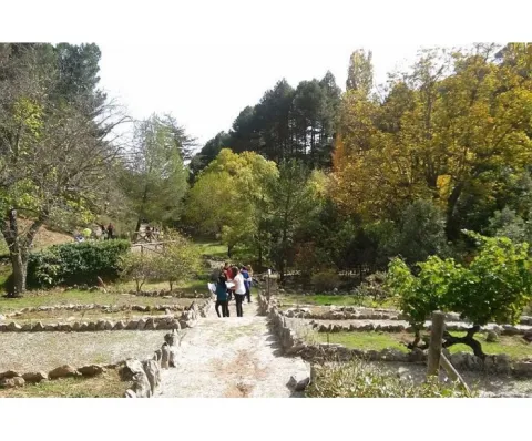 jardin-botanico-el-hornico%20%282%29.jpg
