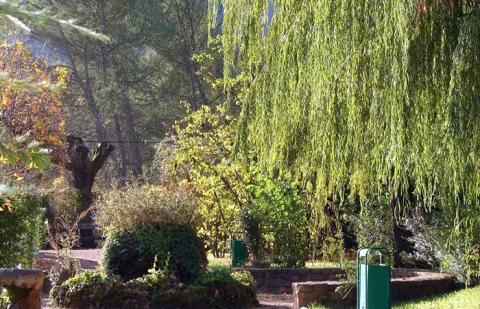 jardin2.jpg