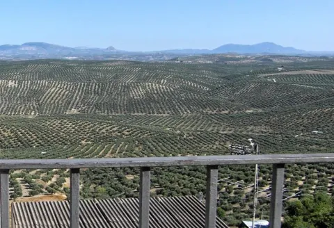 vistas.JPG
