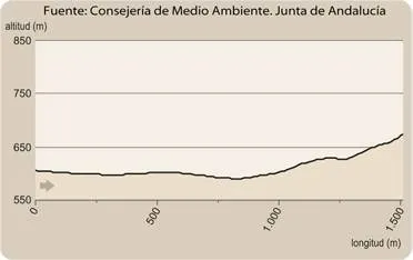 ff19adf8-c065-2525-6249-b708ddf99062?t=1588956878234