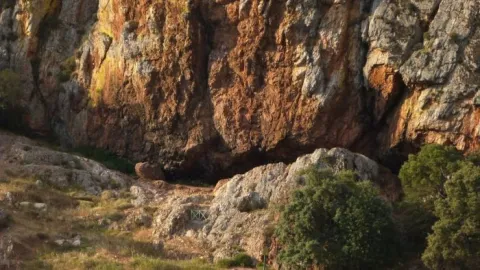 Sendero%20de%20la%20Cueva%20de%20los%20Mu%C3%B1ecos2.jpg