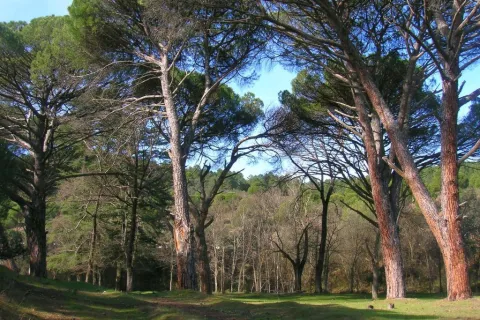 Sendero%20R%C3%ADo%20de%20la%20Campana.jpg
