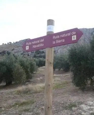 Ruta%20Natural%20del%20Puerto%20de%20Navatrillo.jpg