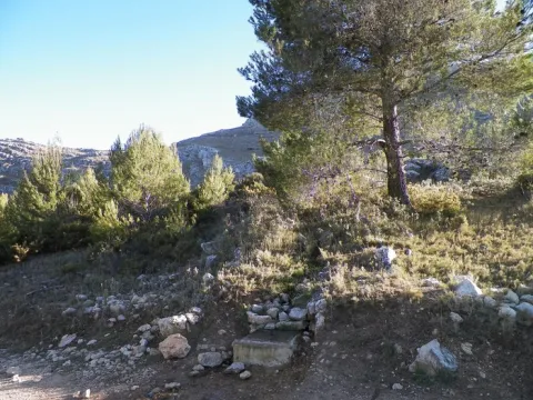 2498238.jpg