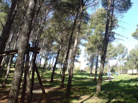 Monta%C3%B1a%20del%20Castillo%20y%20Pinares%20del%20Nevaral.jpeg
