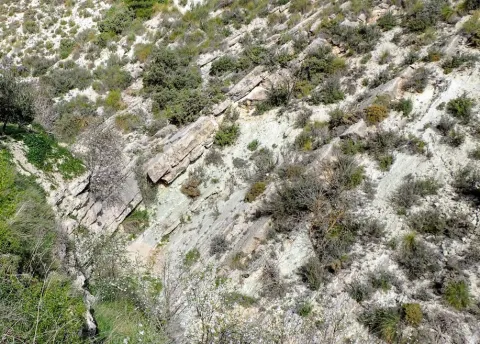 Ruta%20Cabra%20del%20Santo%20Cristo.JPG