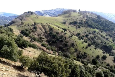 Ruta%20de%20la%20Sierra%20%28De%20Valdepe%C3%B1as%20de%20Ja%C3%A9n%20a%20Frailes%29.jpg