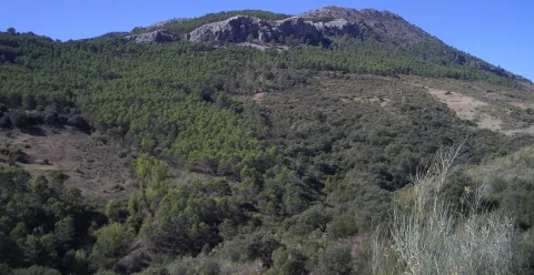 Sierra%20Ahillos%20bis%20%281%29.jpg