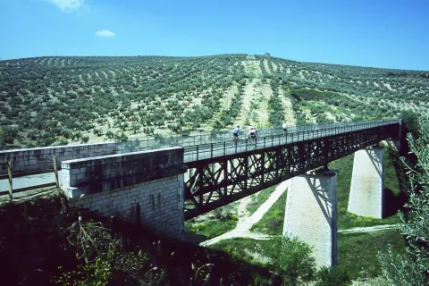 Viaducto%20sobre%20Arroyo%20Salado%20%28Martos%29%20%281%29.jpg
