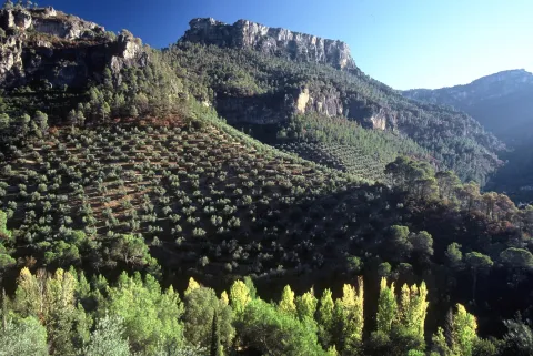 Sierra%20de%20las%20Villas.%20Vva.%20del%20Arzobispo%20%28Ja%C3%A9n%29.JPG