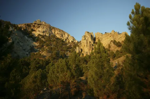 Pico%20Navalperal%20y%20Las%20Acebeas.jpg