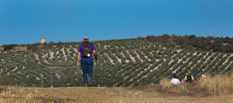 3%20%281%29.jpeg