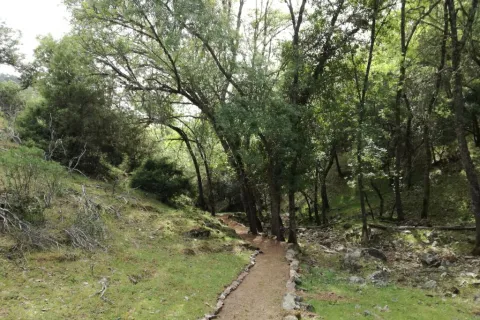 Sendero%20Casta%C3%B1ar%20de%20Valdeazores.jpg
