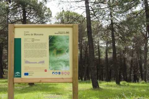 Sendero%20Cerro%20de%20Monuera.jpg