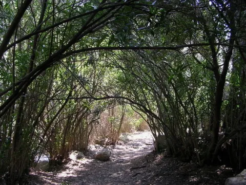 sendero%20las%20vi%C3%B1as.jpg