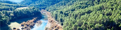 etapas-bosques.jpg