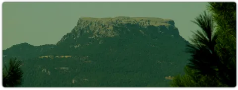 516_img.png