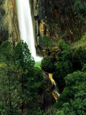 575_image_4.jpg