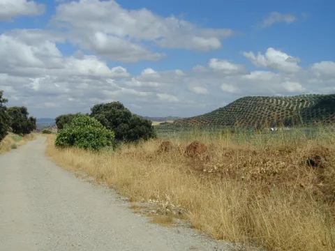 Vadollano04.jpg