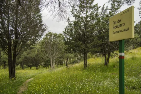 Ruta%20Santuario-Jabal%C3%AD.jpg