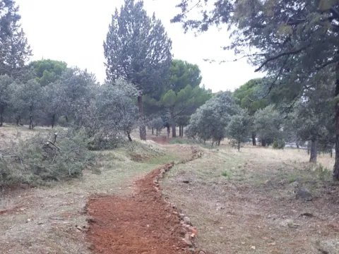 Sendero%20Balc%C3%B3n%20de%20Despe%C3%B1aperros1.jpg