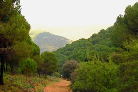 Sendero%20Cerrillo%20del%20Plomo.jpg