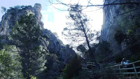 aguardentero.jpg