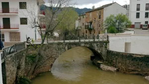 Puente Génave