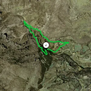 Ruta R7