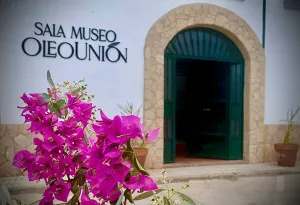 experiencias-museo-jpg