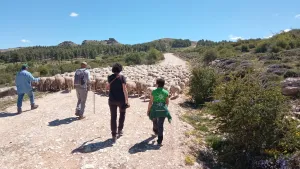 aventurahernanpelea_experienciatrashumancia-jpg