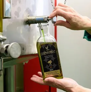aceite-oliva-virgen-extra-potosi-fuenroble-olivar-jpg