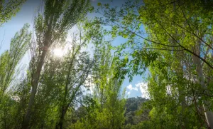 naturaleza.png