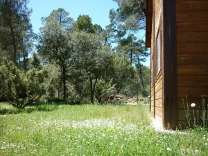 13.%20vistas%20bungalow.jpg