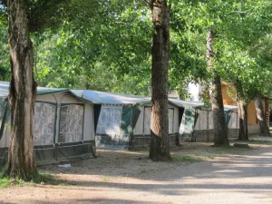 Caravanas-alquiler.jpg