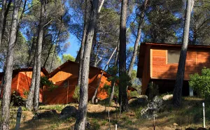 camping-robledo.jpg