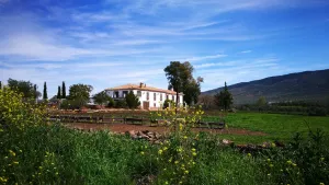 Finca%20Vizconde%20%281%29.jpg